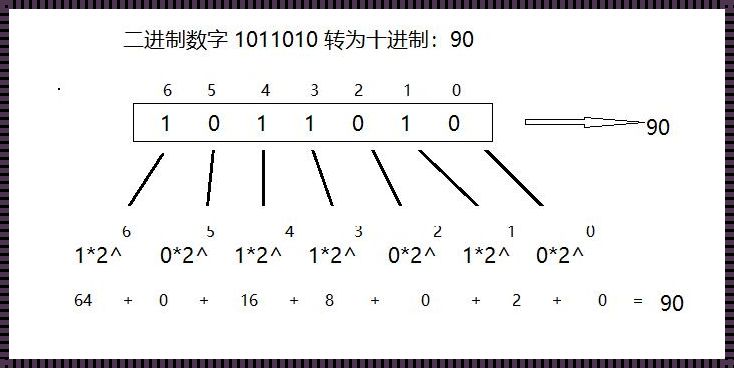 二进制转十进制怎么算——推动数字世界的运转