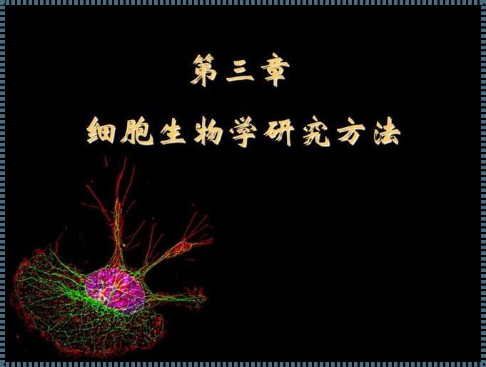 细胞生物学技术：回望与前瞻