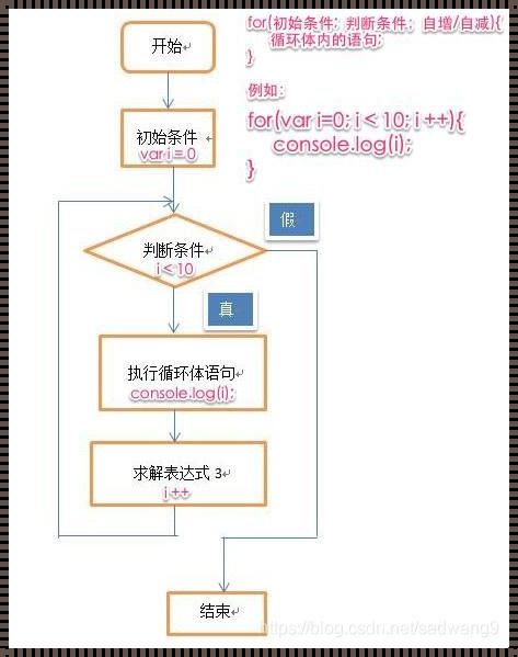 for循环的基本例子——探索编程世界的神奇之旅