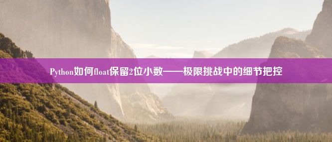 Python如何float保留2位小数——极限挑战中的细节把控