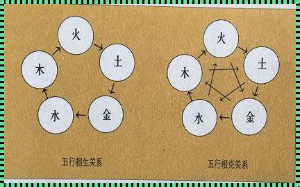 探索人体生命能量学：性价比的奥秘