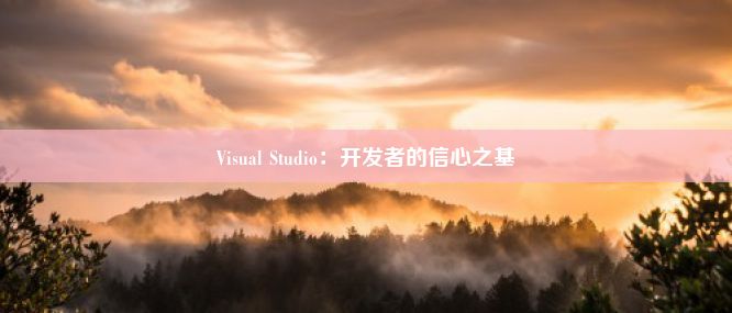 Visual Studio：开发者的信心之基