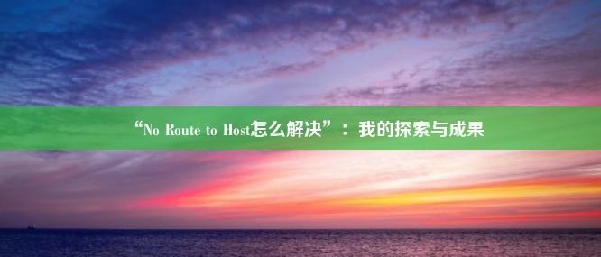 “No Route to Host怎么解决”：我的探索与成果