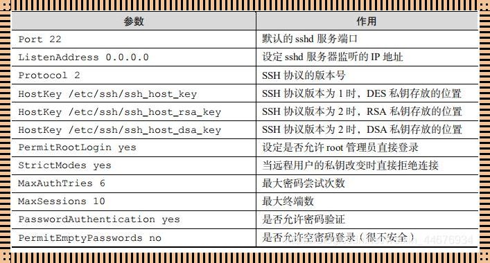 ssh服务协议是什么——揭秘远程登录背后的安全守护者