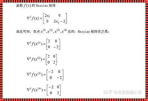 深入探讨多元函数海森矩阵的奥秘与魅力