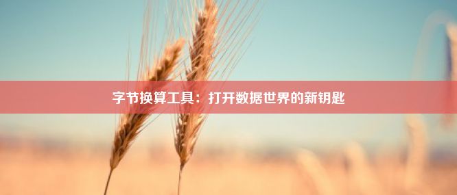 字节换算工具：打开数据世界的新钥匙