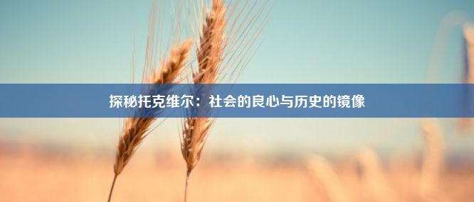 探秘托克维尔：社会的良心与历史的镜像