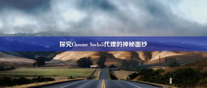 探究Chrome Socks5代理的神秘面纱