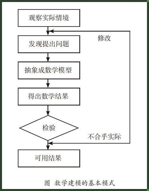 数学建模弄虚作假：背后的真相与影响