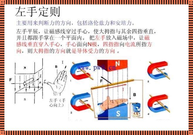 坐标系左手定则和右手定则：探索电磁世界的秘密