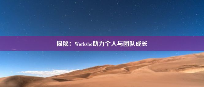 揭秘：Worksho助力个人与团队成长