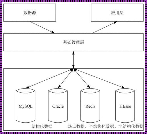 数据存储形式探秘：数字记忆的多种面孔