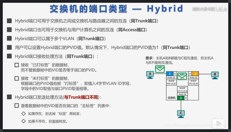 探究接口类型Trunk的奥秘：震惊！你对网络结构的了解可能全是错的