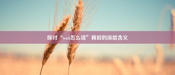 探讨“wait怎么读”背后的深层含义