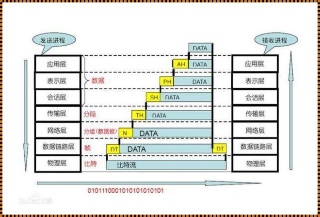 传输层协议有哪些：深度解析与探索