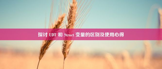 探讨 UDT 和 Struct 变量的区别及使用心得