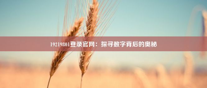 19219801登录官网：探寻数字背后的奥秘