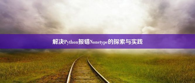 解决Python报错Nonetype的探索与实践