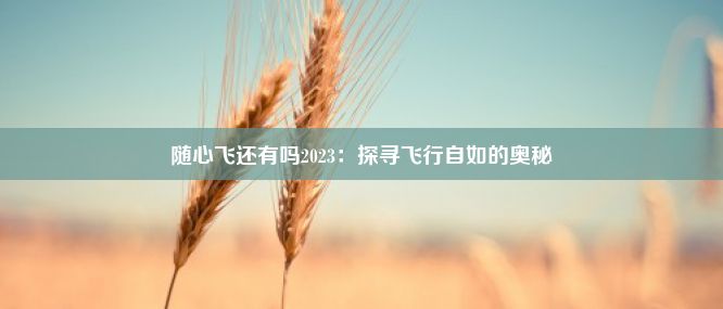 随心飞还有吗2023：探寻飞行自如的奥秘