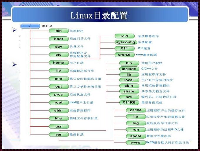 Linux命令合集——探究操作系统中的震惊之选