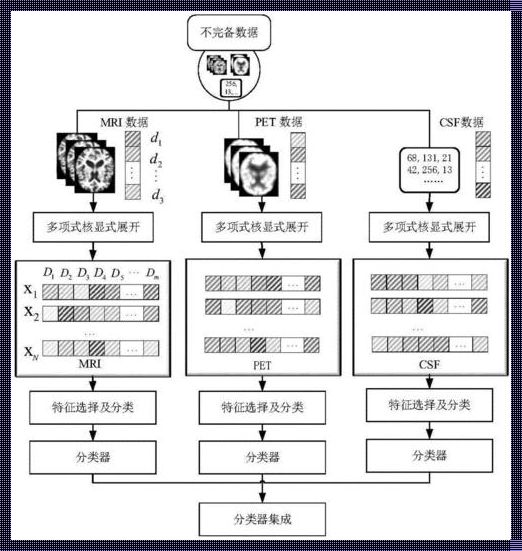 数据特性分为几类：深入解析与探讨