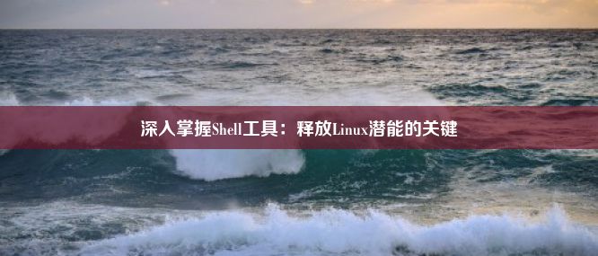 深入掌握Shell工具：释放Linux潜能的关键