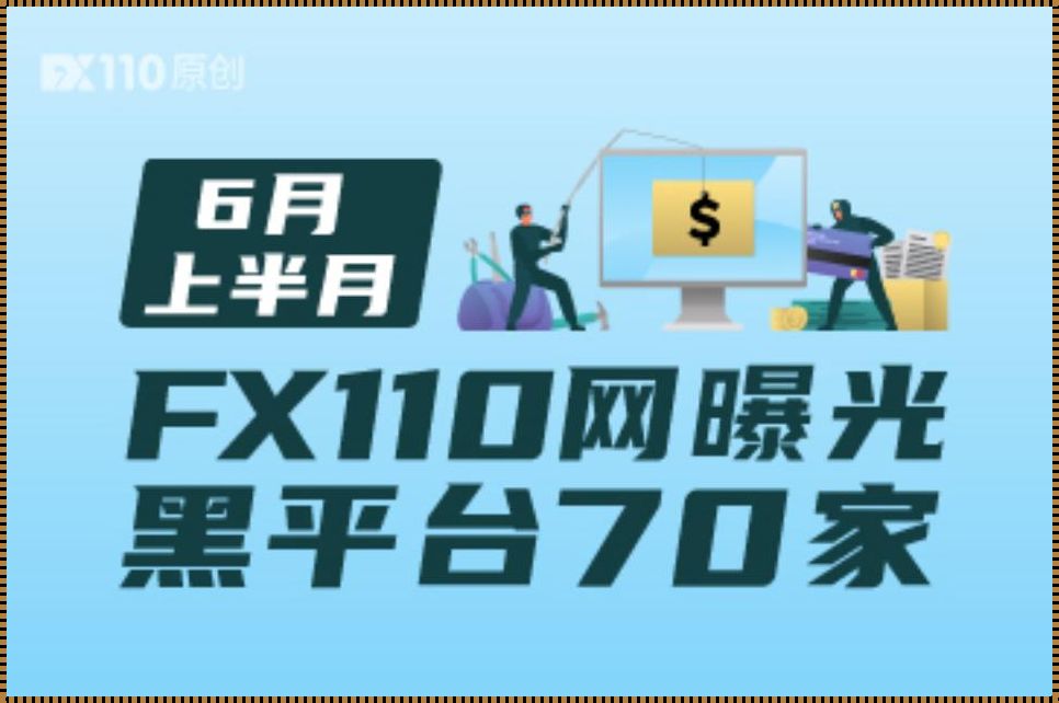 外汇110查询外汇平台：揭秘神秘面纱