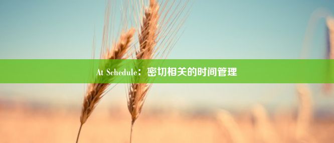 At Schedule：密切相关的时间管理