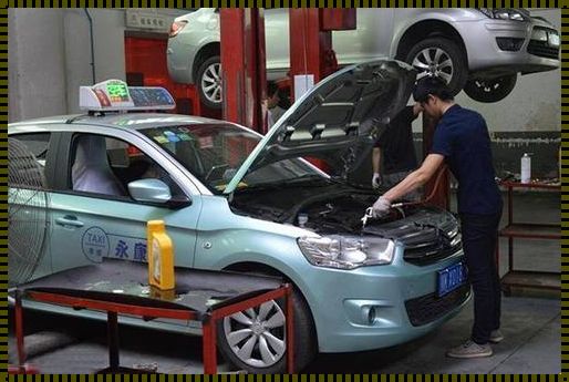 DlV101私家车：我生活中的忠实伙伴