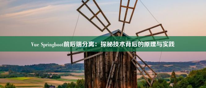 Vue Springboot前后端分离：探秘技术背后的原理与实践