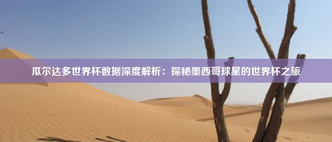 瓜尔达多世界杯数据深度解析：探秘墨西哥球星的世界杯之旅