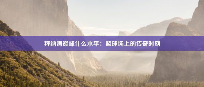 拜纳姆巅峰什么水平：篮球场上的传奇时刻