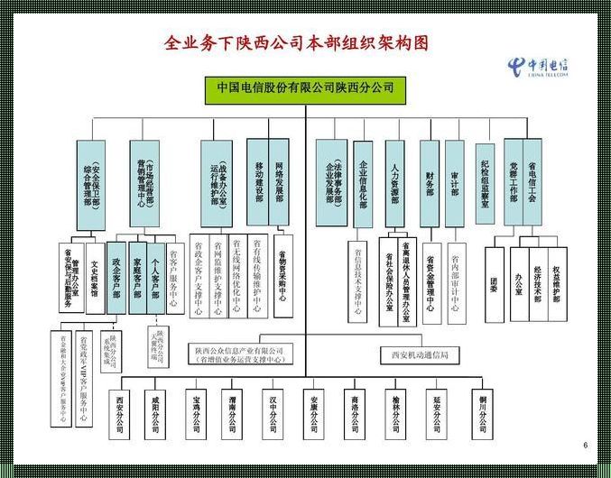 揭秘中国电信天翼云公司组织架构：揭开神秘面纱