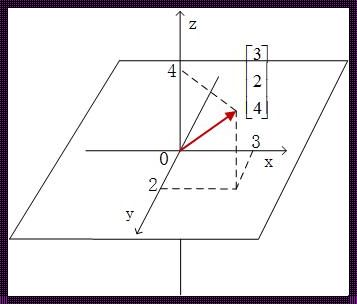 三维向量：探寻空间中的数字舞者