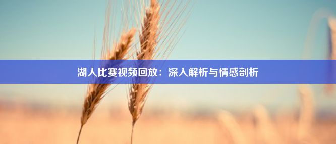 湖人比赛视频回放：深入解析与情感剖析