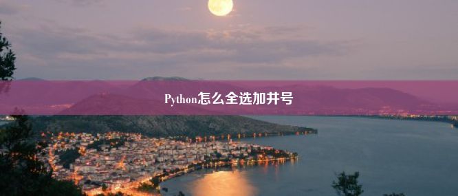 Python怎么全选加井号