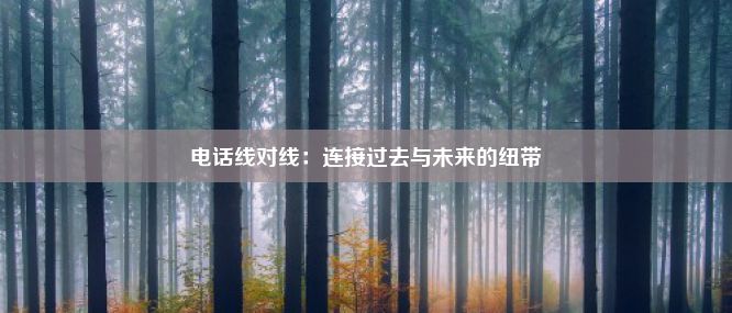 电话线对线：连接过去与未来的纽带