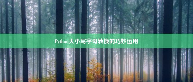 Python大小写字母转换的巧妙运用