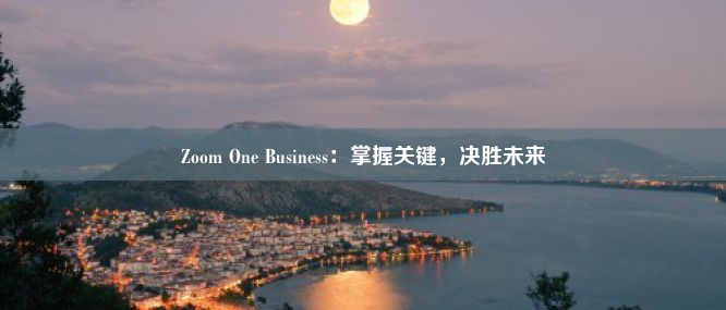 Zoom One Business：掌握关键，决胜未来