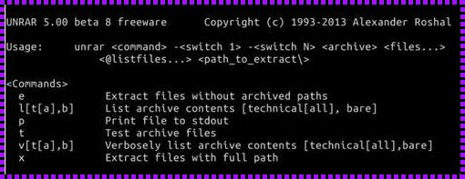 深入探讨unrar解压命令的奥秘与实用技巧