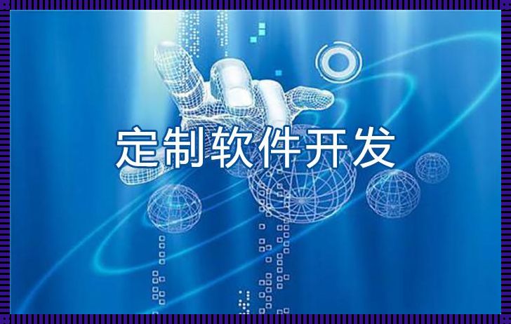 定制开发系统：打造专属你的数字利器