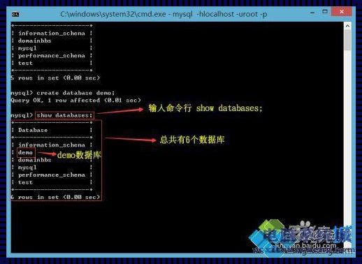 深入探讨：cmd访问mysql数据库