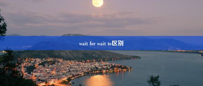 wait for wait to区别