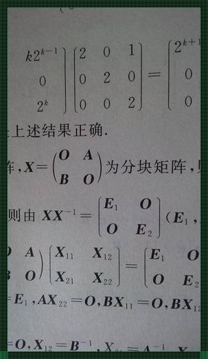 分块矩阵伴随矩阵常用公式：深入解析与情感阐述