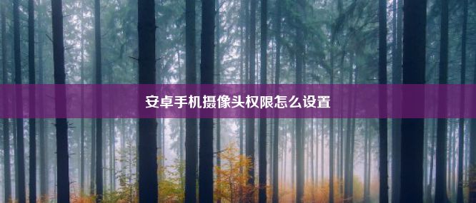 安卓手机摄像头权限怎么设置