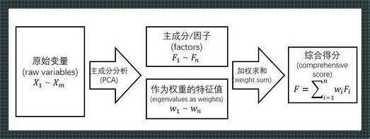 主成分分析算法在教育领域的应用探讨