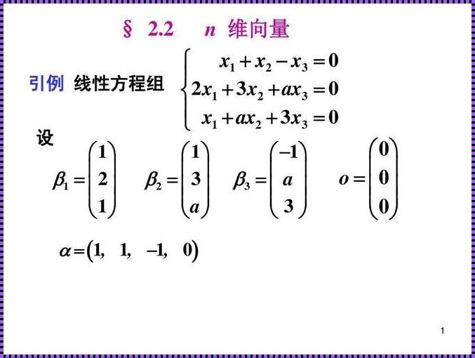 探索n维实列向量的奥妙：惊现未知世界的秘密