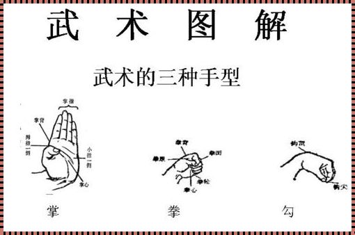 五步拳口诀：震惊！深入剖析与实战指南