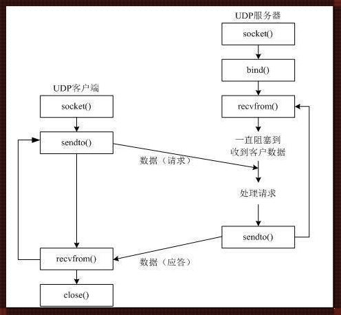 TFTp的端口号：连接网络的隐形纽带