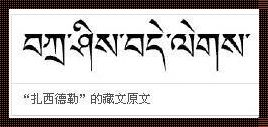 俄语转写拉丁字母转换器：便捷的工具还是文化的倒退？